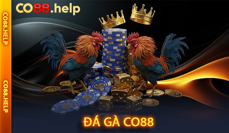 Đá gà CO88